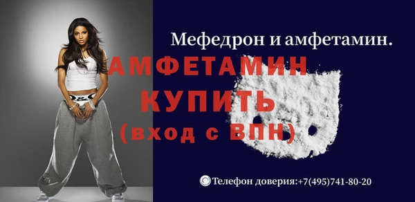 сатива Балахна