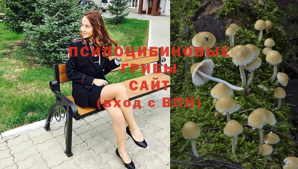 амф Баксан