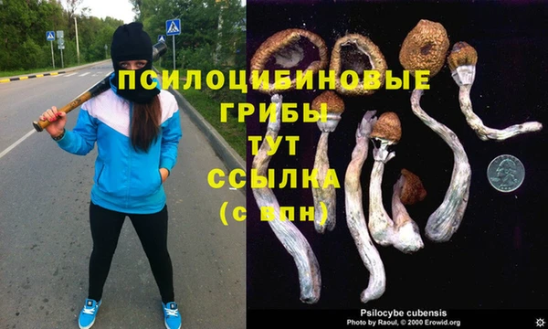 амф Баксан