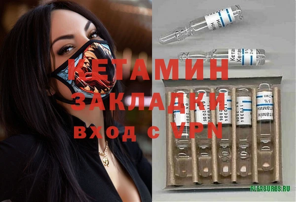индика Нягань