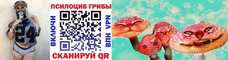 Псилоцибиновые грибы Psilocybe  блэк спрут ONION  Красный Холм 